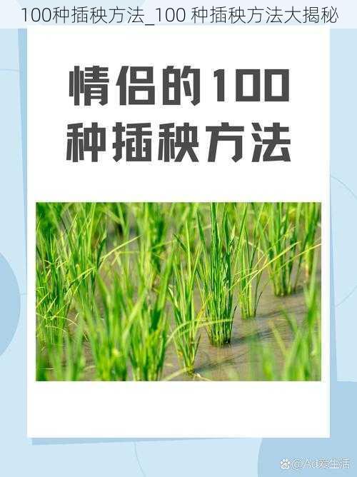 100种插秧方法_100 种插秧方法大揭秘