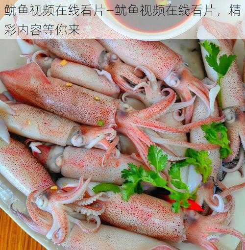 鱿鱼视频在线看片—鱿鱼视频在线看片，精彩内容等你来