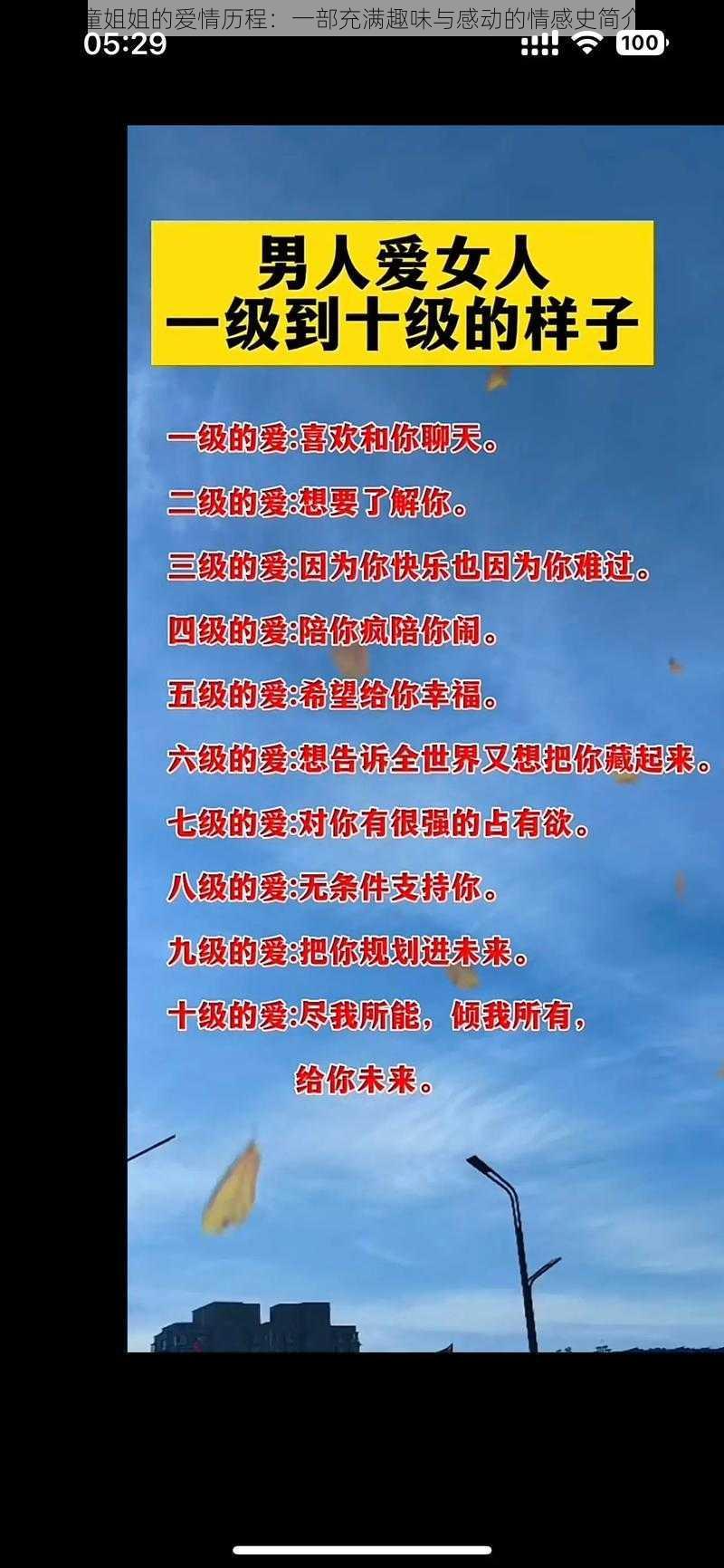 童姐姐的爱情历程：一部充满趣味与感动的情感史简介