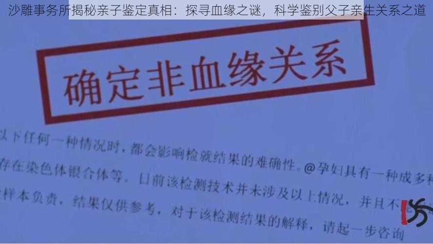 沙雕事务所揭秘亲子鉴定真相：探寻血缘之谜，科学鉴别父子亲生关系之道