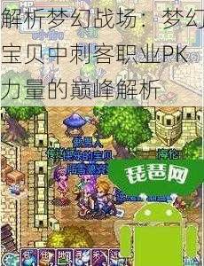 解析梦幻战场：梦幻宝贝中刺客职业PK力量的巅峰解析