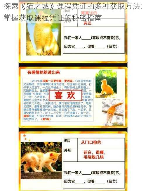 探索《猫之城》课程凭证的多种获取方法：掌握获取课程凭证的秘密指南