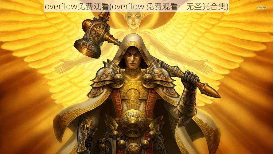 overflow免费观看(overflow 免费观看：无圣光合集)