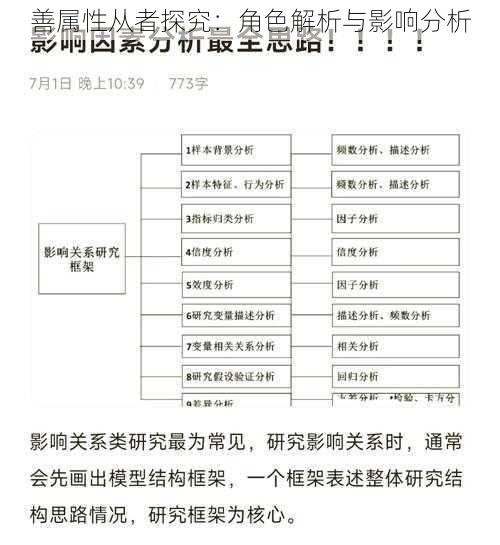 善属性从者探究：角色解析与影响分析