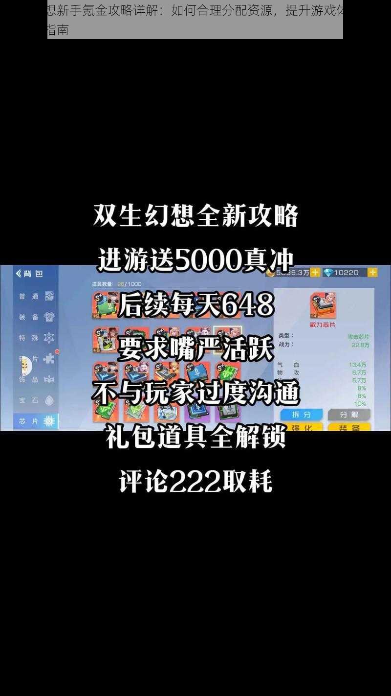 双生幻想新手氪金攻略详解：如何合理分配资源，提升游戏体验与角色实力指南