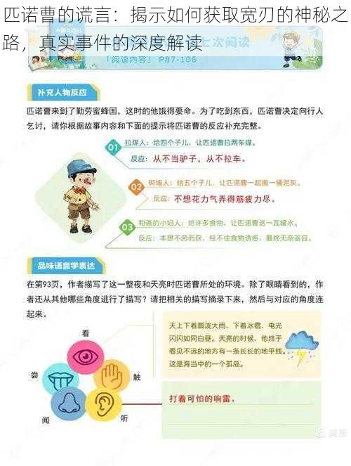 匹诺曹的谎言：揭示如何获取宽刃的神秘之路，真实事件的深度解读