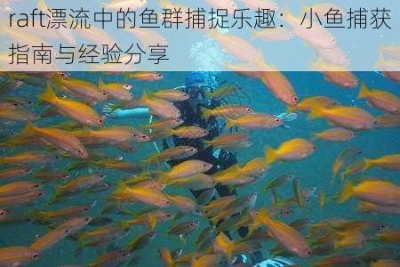 raft漂流中的鱼群捕捉乐趣：小鱼捕获指南与经验分享