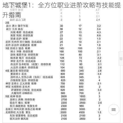 地下城堡1：全方位职业进阶攻略与技能提升指南