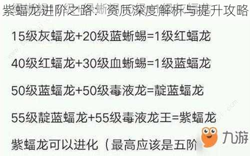 紫蝠龙进阶之路：资质深度解析与提升攻略